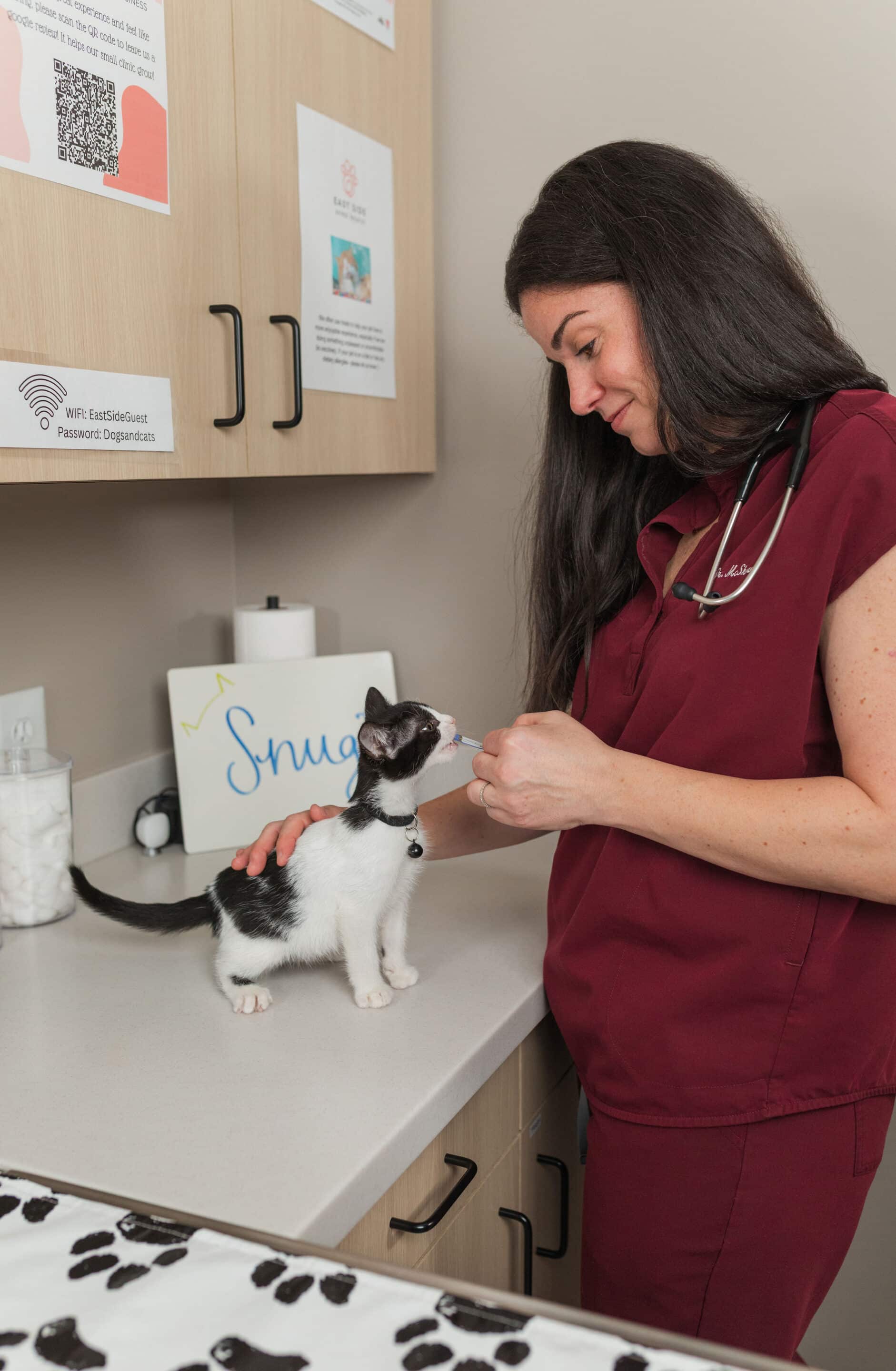 Kitten getting a treat at the vet