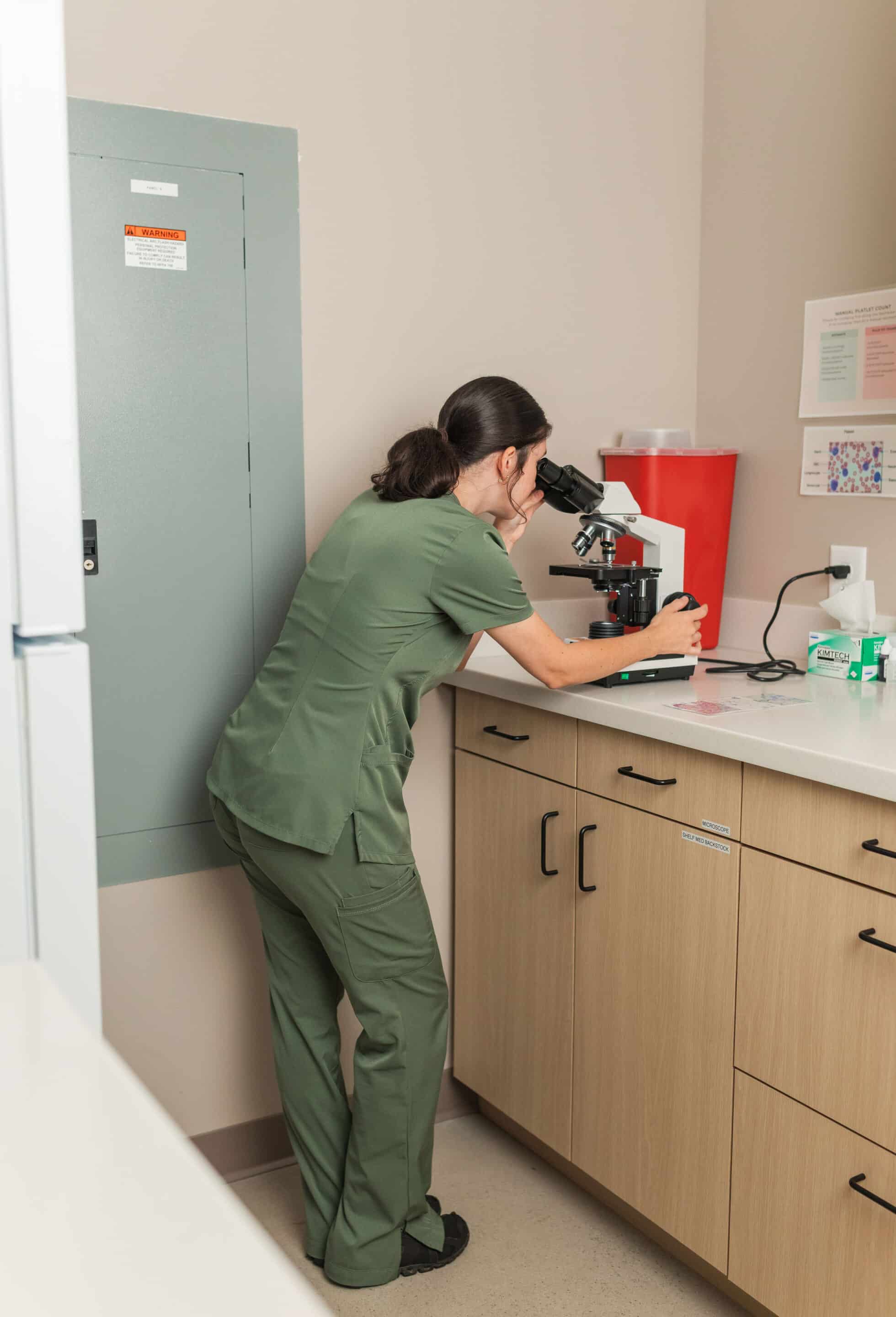 Vet tech looking into a microscope